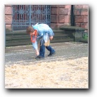 [Zum Vergr&ouml;ssern auf das Bild klicken]