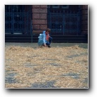 [Zum Vergr&ouml;ssern auf das Bild klicken]