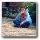 [Zum Vergr&ouml;ssern auf das Bild klicken]