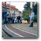 [Zum Vergr&ouml;ssern auf das Bild klicken]